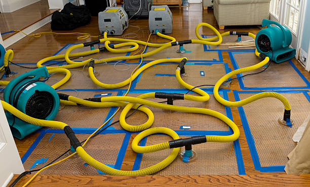 Professional Water Damage Repair technician working in Plum City, WI
